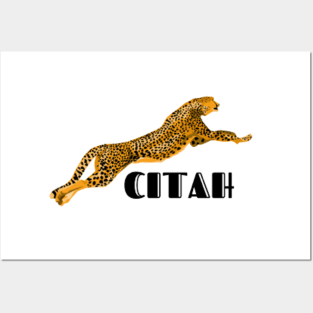 2023 new cheetah print T-shirt Posters and Art